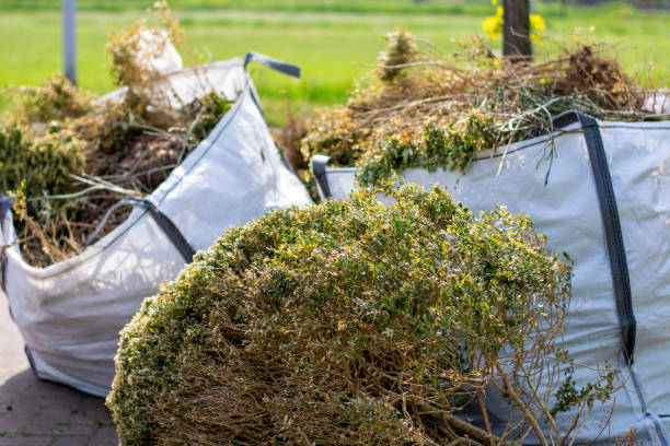 Best Trash Removal Near Me  in Succasunna, NJ